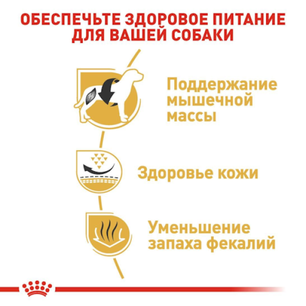 Royal Canin (Роял Канін) French Bulldog Adult - Сухий корм для французьких бульдогів від 12 міс. 9 кг