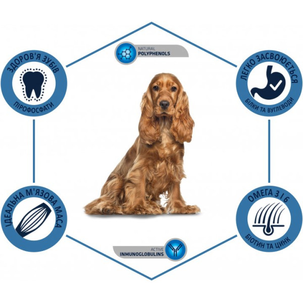 Advance Dog Medium Adult Chicken & Rice - Сухий корм для дорослих собак середніх порід з куркою та рисом 3 кг