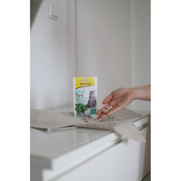GimCat (ДжимКет) Cat-Mintips - Витаминизированное лакомство для кошек с кошачьей мятой 40 г