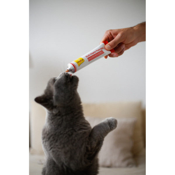 GimCat (ДжимКет) Every Day Extra - Мультивитаминная паста для кошек 100 г