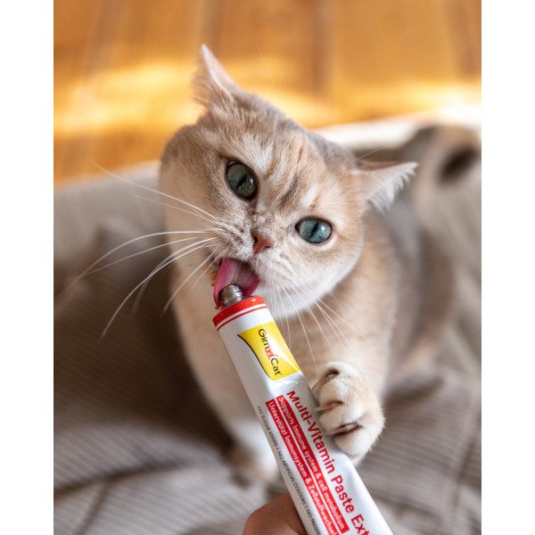 GimCat (ДжимКет) Every Day Extra - Мультивитаминная паста для кошек 100 г