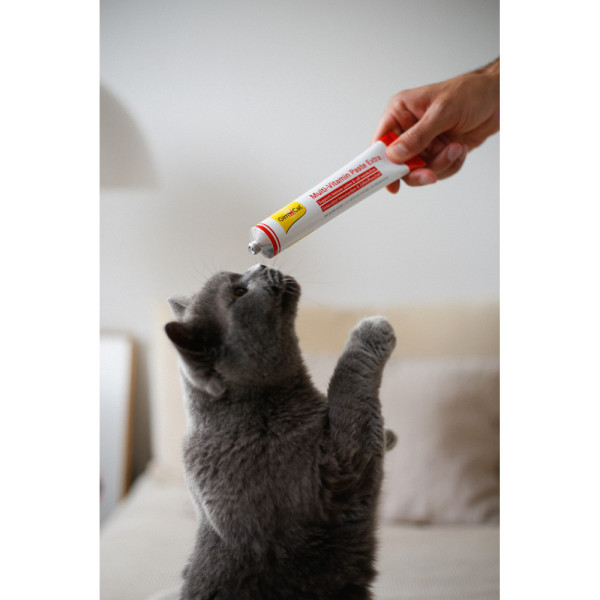 GimCat (ДжимКет) Every Day Extra - Мультивитаминная паста для кошек 200 г