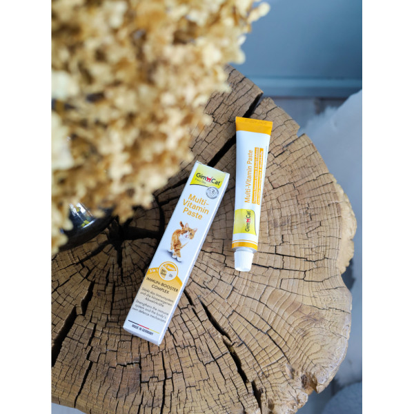 GimCat (ДжимКет) Every Day - Мультивитаминная паста для кошек 50 г