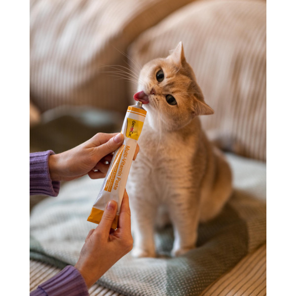 GimCat (ДжимКет) Every Day - Мультивитаминная паста для кошек 200 г