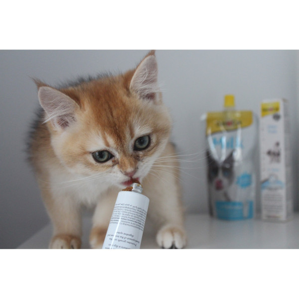 GimCat (ДжимКет) Expert Line Kitten - Витаминизированная паста для котят 50 г