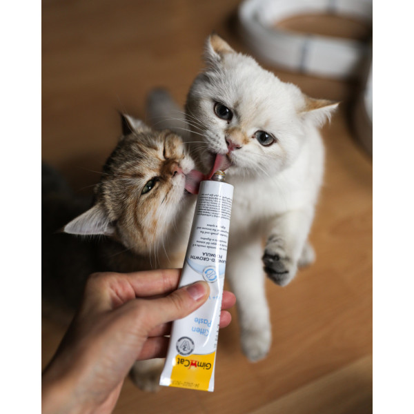 GimCat (ДжимКет) Expert Line Kitten - Витаминизированная паста для котят 50 г