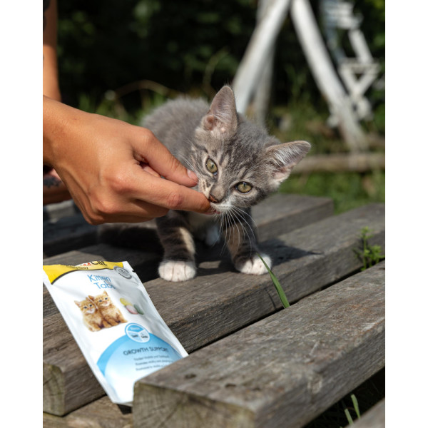 GimCat (ДжимКет) Every Day Kitten - Витаминизированное лакомство для котят 40 г