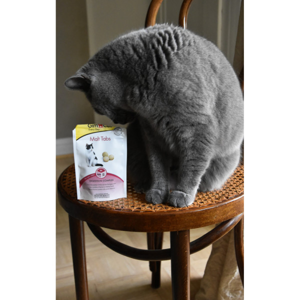 GimCat (ДжимКет) Every Day Malt Tabs - Витамины для кошек 40 г
