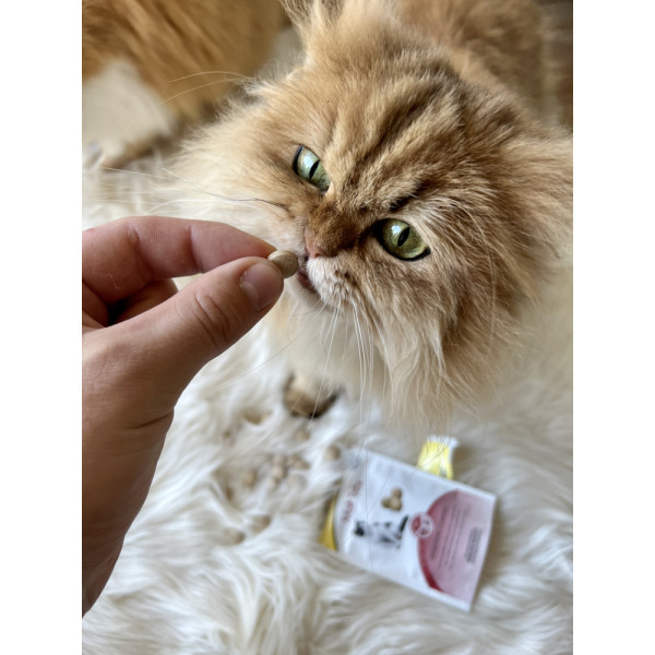 GimCat (ДжимКет) Every Day Malt Tabs - Витамины для кошек 40 г