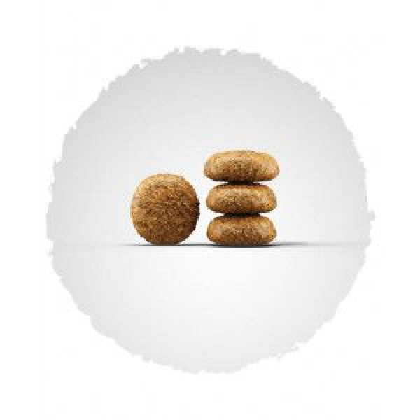 Josera (Йозера) Miniwell - Сухой корм для собак малых пород с птицей 10 кг