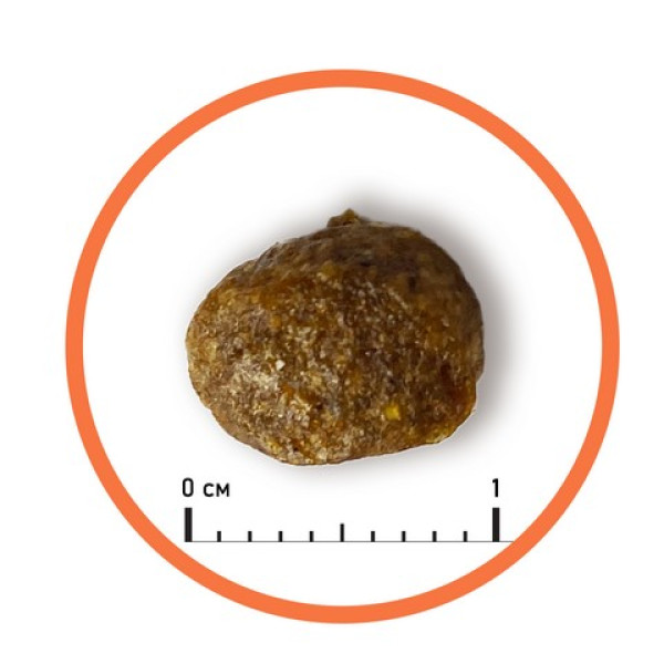 Almo Nature (Алмо Натюр) Holistic Fresh Meat Cat With Turkey - Сухой корм для кошек со свежей индейкой 400 г