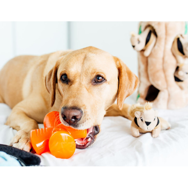 Outward Hound (Аутвард Хаунд) Bionic Opaque Stuffer - Игрушка для собак фиолетовая 12.5 см