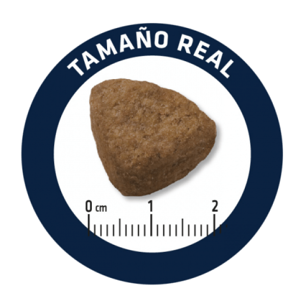 Advance Dog Maxi Adult Chicken & Rice - Сухой корм для взрослых собак больших пород с курицей и рисом 18 кг