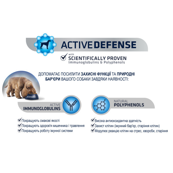 Advance Dog Maxi Adult Chicken & Rice - Сухой корм для взрослых собак больших пород с курицей и рисом 18 кг