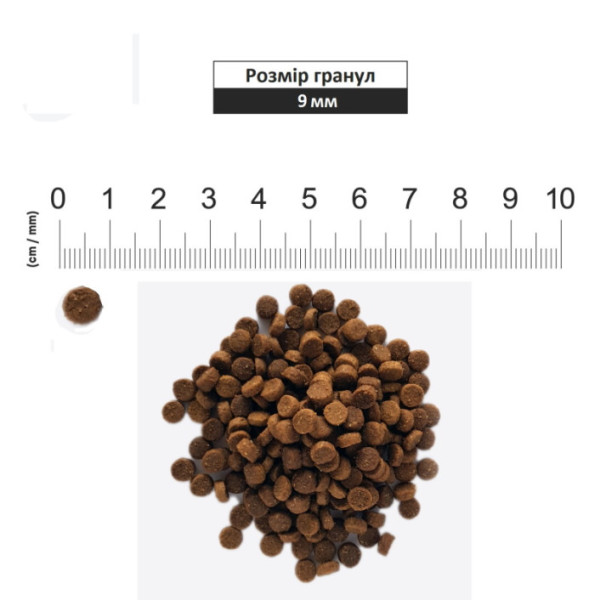 Pronature Holistic (Пронатюр Холістик) Atlantic Salmon & Brown Rice - Сухий корм для кішок з лососем і коричневим рисом 5.44 кг