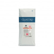 Quattro (Кватро) Cat Sterilised With Beef - Сухий корм для стерилізованих котів з яловичиною 15 кг