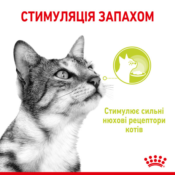 Royal Canin (Роял Канин) Cat Sensory Smell Jelly Pouches Adult Poultry - Влажный корм для взрослых котов что стимулирует сильные обонятельные рецепторы кусочки в желе с мясом птицы 85 г