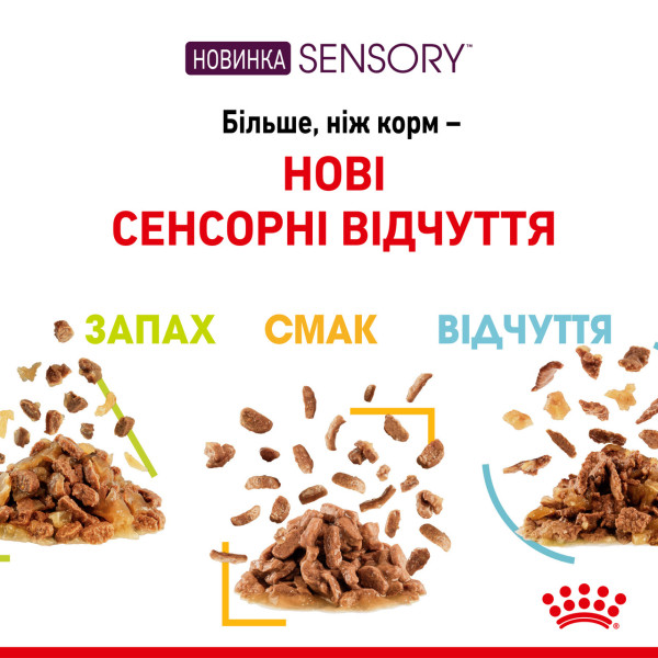 Royal Canin (Роял Канин) Cat Sensory Smell Jelly Pouches Adult Poultry - Влажный корм для взрослых котов что стимулирует сильные обонятельные рецепторы кусочки в желе с мясом птицы 85 г