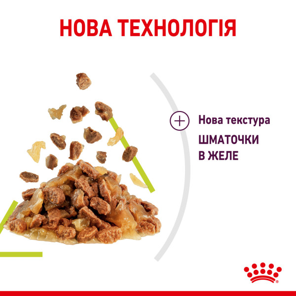 Royal Canin (Роял Канин) Cat Sensory Smell Jelly Pouches Adult Poultry - Влажный корм для взрослых котов что стимулирует сильные обонятельные рецепторы кусочки в желе с мясом птицы 85 г