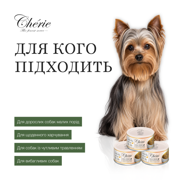 Cherie (Чери) Dog Grain Free Chicken In Pumpkin Gravy Adult Mini - Влажный беззерновой корм для взрослых собак мелких пород кусочки в тыквенном соусе с мясом курицы 80 г Cherie (Чери) Dog Grain Free Chicken In Pumpkin Gravy Adult Mini - Влажный беззерновой корм для взрослых собак мелких пород кусочки в тыквенном соусе с мясом курицы 80 г
