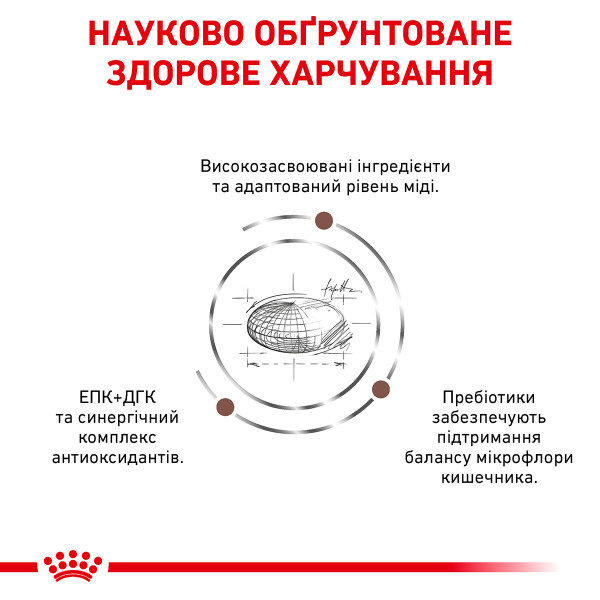 Royal Canin (Роял Канин) Cat Hepatic Adult Pork - Сухой корм для взрослых котов при заболеваниях печени с мясом свинины 4 кг