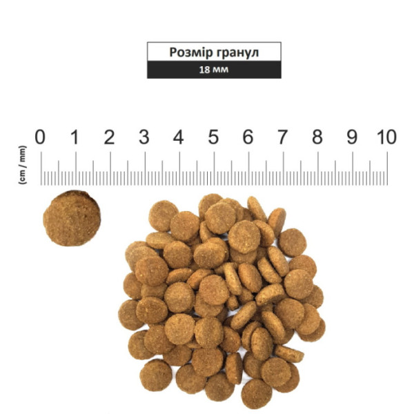 Schesir (Шезір) Dog Large Adult Chicken - Cухий монопротеїновий корм для собак великих порід з куркою 3 кг