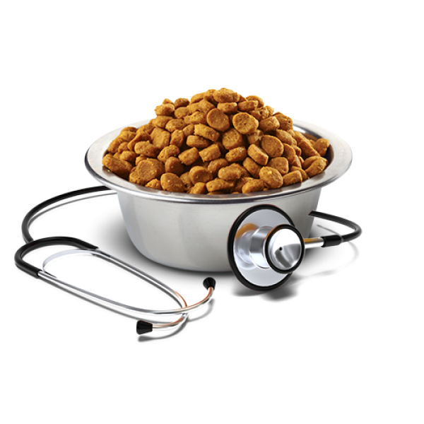 Vet Life (Вет Лайф) Natural Diet Dog Adult Hypoallergenic Egg & Rice - Сухой корм для взрослых собак при пищевой непереносимости с рисом 12 кг