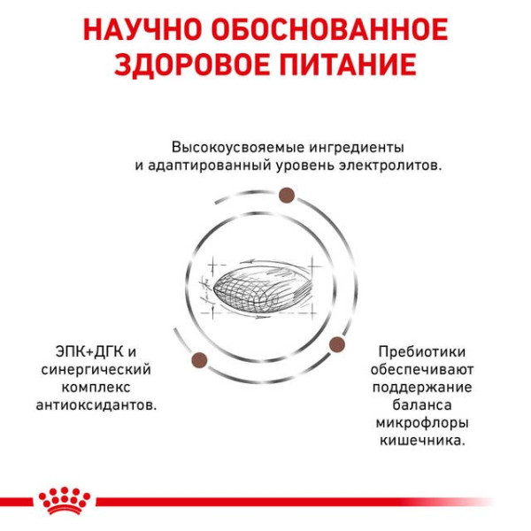 Royal Canin (Роял Канин) All Breed Dog GastroIntestinal Low Fat Adult Poultry & Rice - Сухой корм для взрослых собак всех пород при панкреатите и диарее с мясом птицы и рисом 6 кг Royal Canin (Роял Канин) All Breed Dog GastroIntestinal Low Fat Adult Poultry & Rice - Сухой корм для взрослых собак всех пород при панкреатите и диарее с мясом птицы и рисом 6 кг