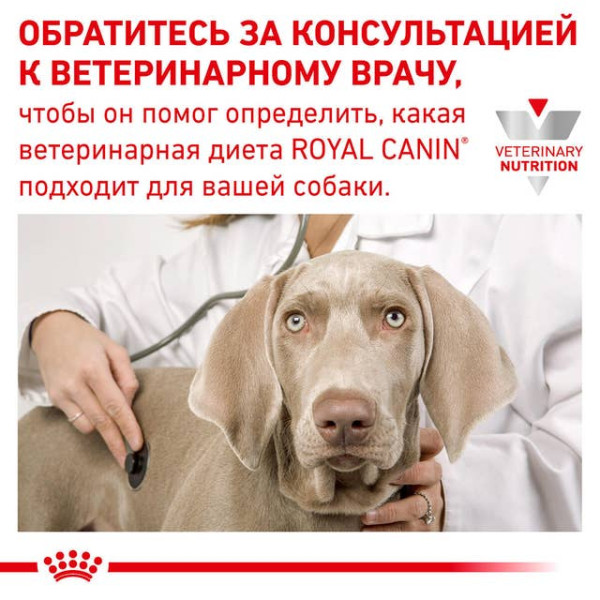 Royal Canin (Роял Канин) All Breed Dog GastroIntestinal Low Fat Adult Poultry & Rice - Сухой корм для взрослых собак всех пород при панкреатите и диарее с мясом птицы и рисом 6 кг Royal Canin (Роял Канин) All Breed Dog GastroIntestinal Low Fat Adult Poultry & Rice - Сухой корм для взрослых собак всех пород при панкреатите и диарее с мясом птицы и рисом 6 кг