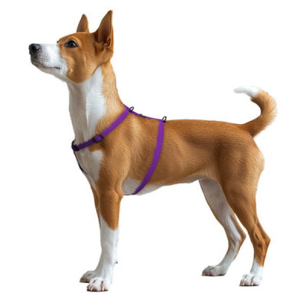 WauDog (ВауДог) Magnet - Шлея для собак анатомическая водостойкая с магнитной пряжкой фиолетовая (Ш 15 мм, А 28-42 см, В 32-52 см) S