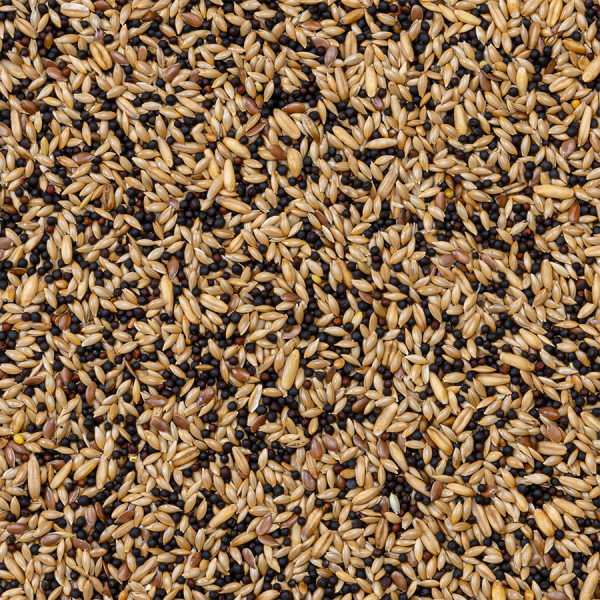 Deli Nature (Дели Натур) 50 - Canaries Basic - Основной классический корм для канареек 20 кг