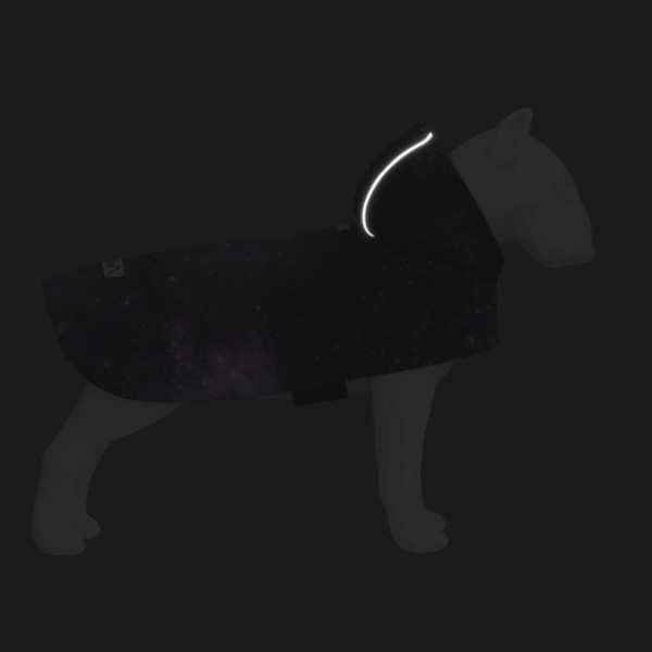 WauDog (ВауДог) Clothes "Nasa21" - Дождевик-накидка для собак (А 32-35 см, B 41-52 см, С 26-33 см) S