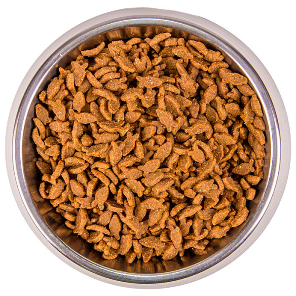 Monge (Монж) Cat Salmon Monoprotein Adult - Сухий монопротеїновий корм для дорослих котів з м’ясом лосося 1.5 кг Monge (Монж) Cat Salmon Monoprotein Adult - Сухий монопротеїновий корм для дорослих котів з м’ясом лосося 1.5 кг