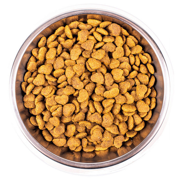Monge (Монж) Cat Chiсken Hairball Adult - Сухой корм для взрослых котов для выведения шерсти с мясом курицы 10 кг Monge (Монж) Cat Chiсken Hairball Adult - Сухой корм для взрослых котов для выведения шерсти с мясом курицы 10 кг