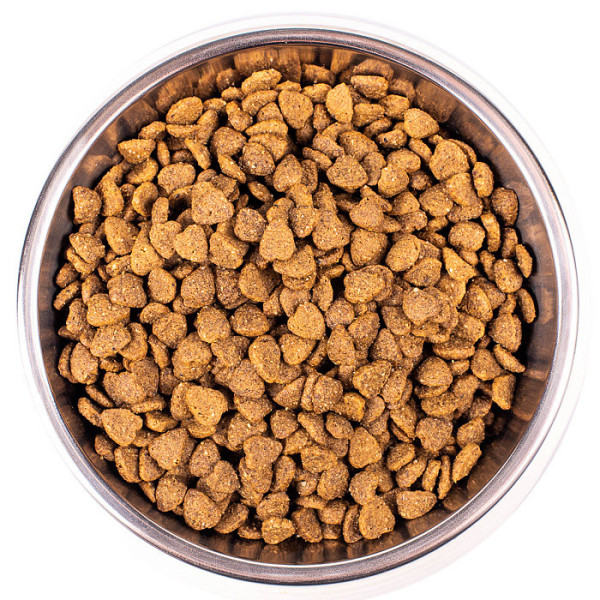 Monge (Монж) Cat Chicken Indoor Adult - Сухий корм для дорослих котів які живуть у приміщенні з м’ясом курки 1.5 кг Monge (Монж) Cat Chicken Indoor Adult - Сухий корм для дорослих котів які живуть у приміщенні з м’ясом курки 1.5 кг
