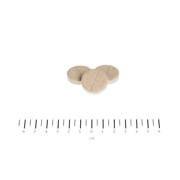 Canina (Канина) Biotin Forte Tabletten - Витамины для собак, интенсивный курс для шерсти (600 табл) 2000 г