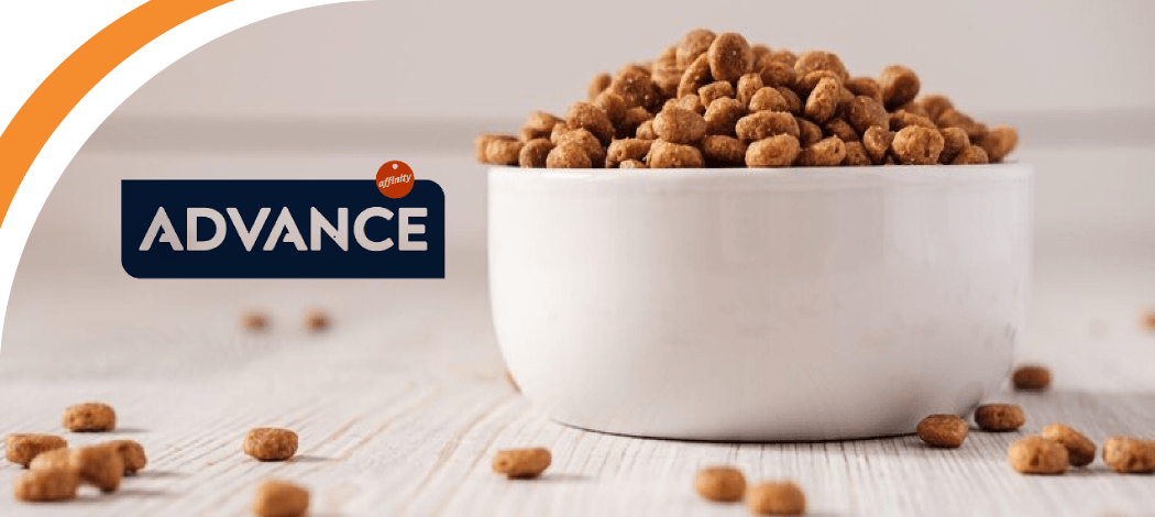 Advance корм для котів