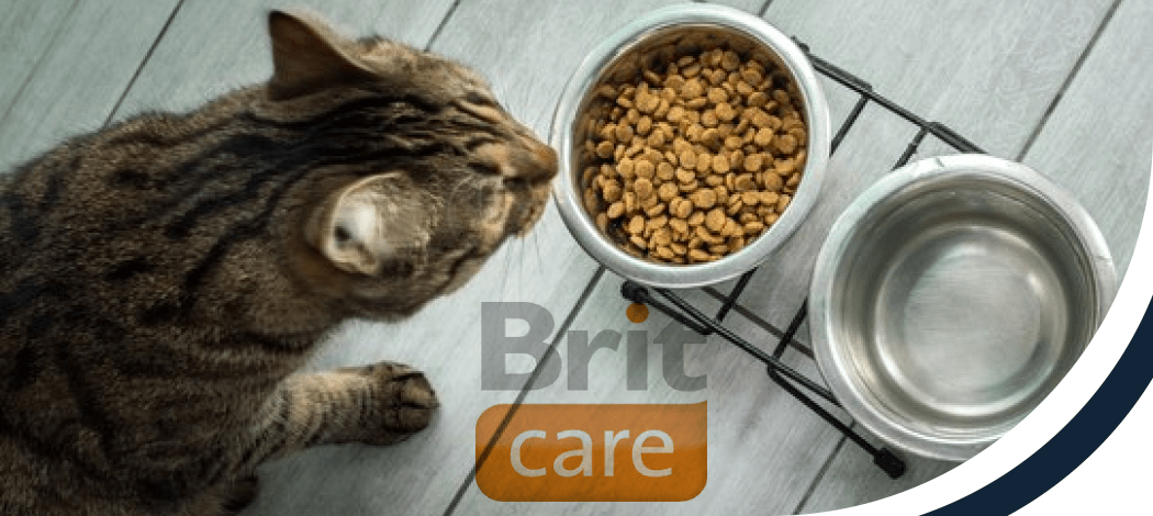 купити сухий корм для котів Brit Care