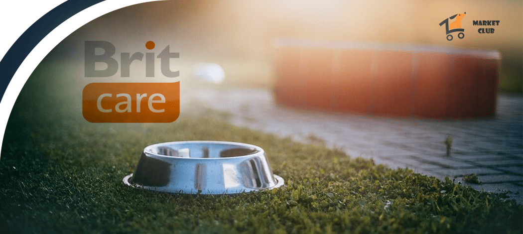  корм brit care для собак 