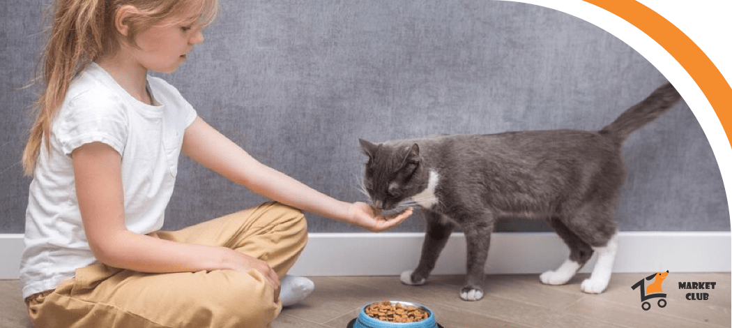 Brit Premium для котів 