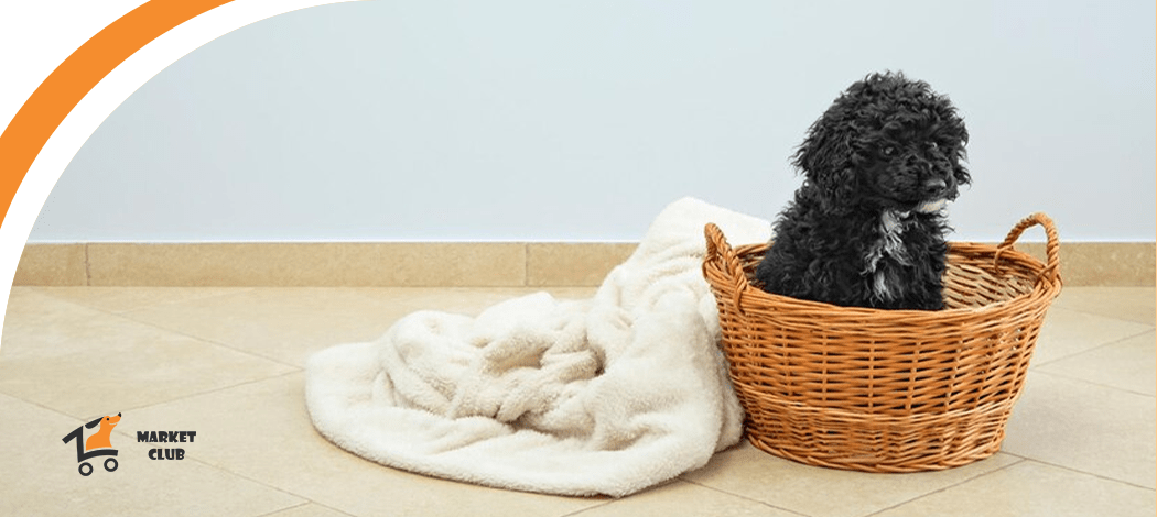  
бріт для собак