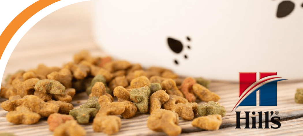 Корм Хіллс для котів 