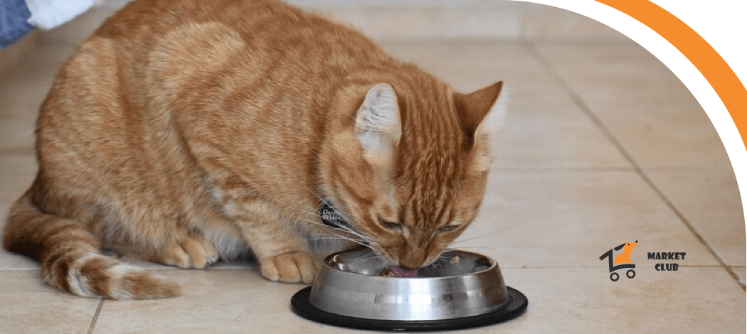 Йозера для котів  