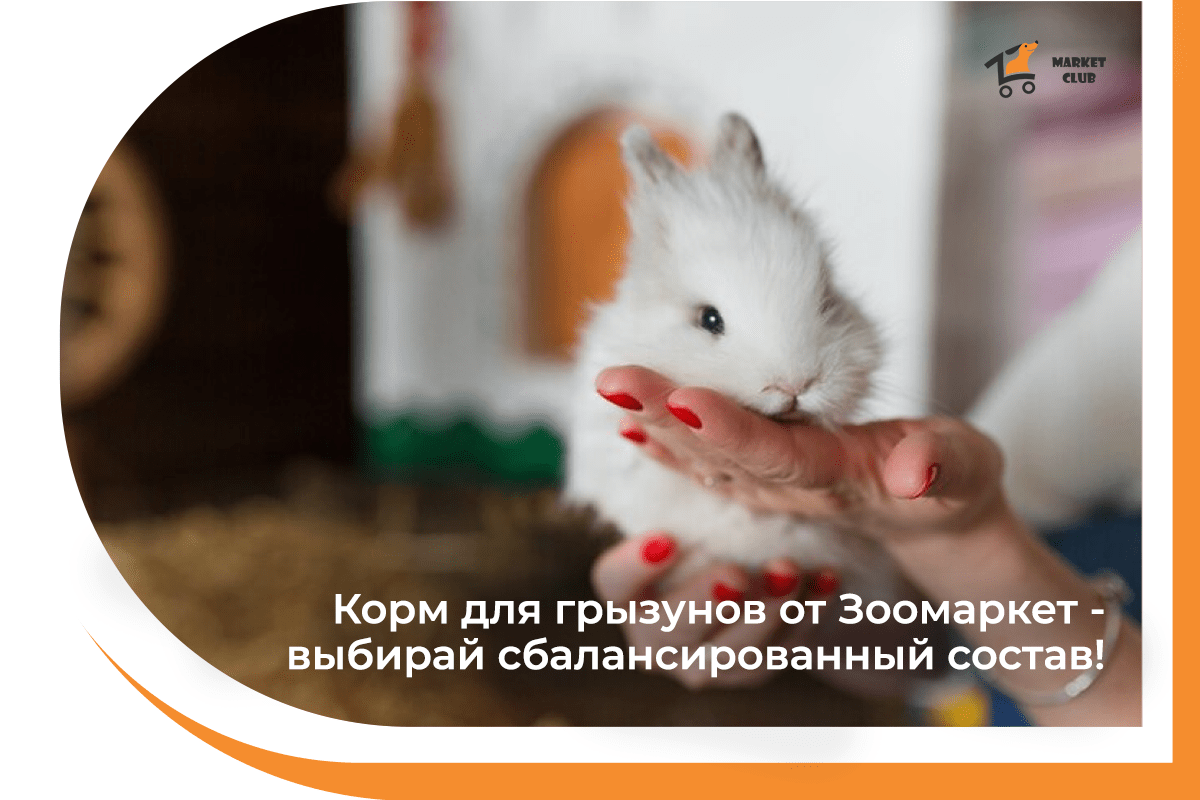 товари для черепах у зоомаркеті