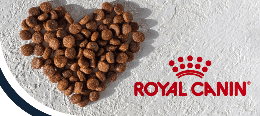 Купити сухий корм для котів Royal Canin  