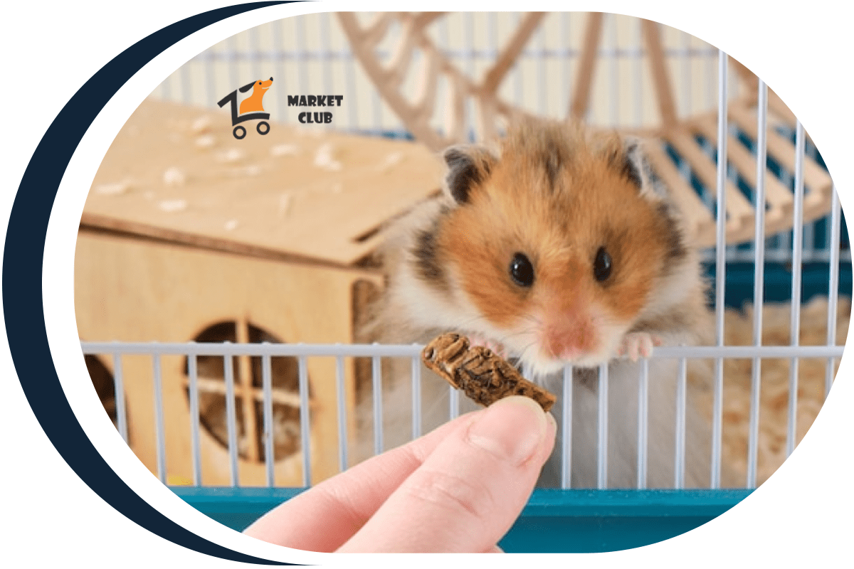 купити товари для гризунів зоомаркет