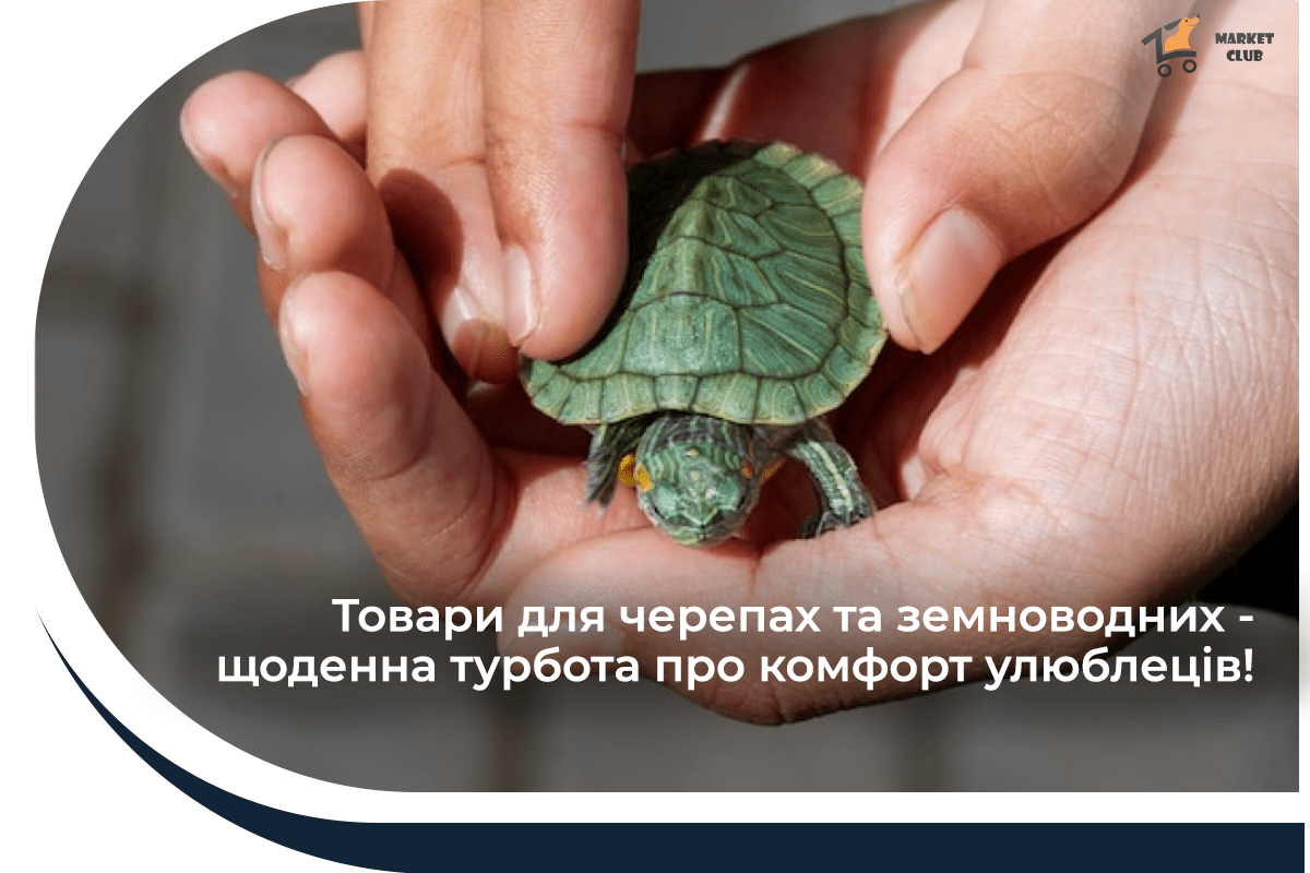 товари для черепах в зоомаркеті