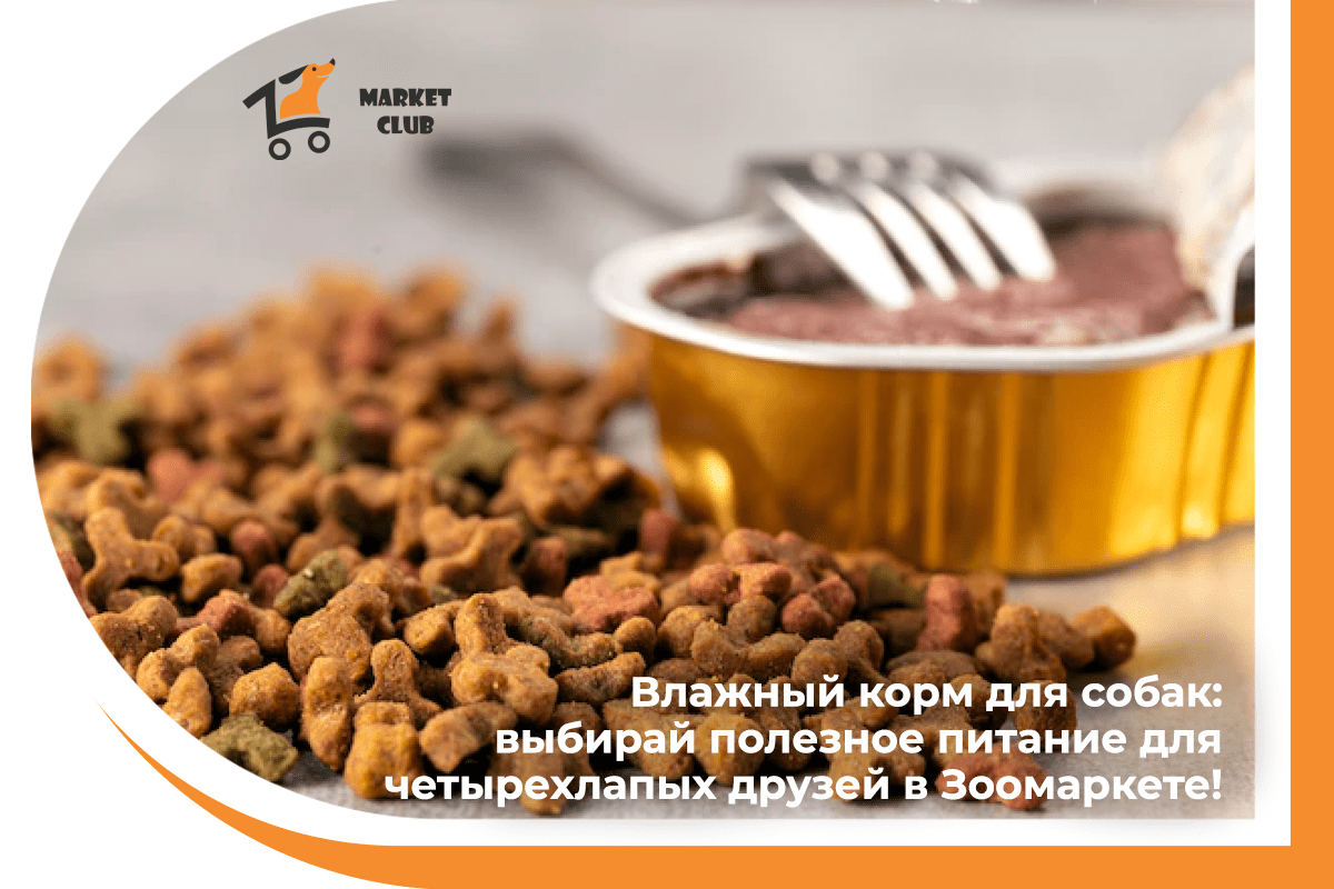 Влажный корм для собакк