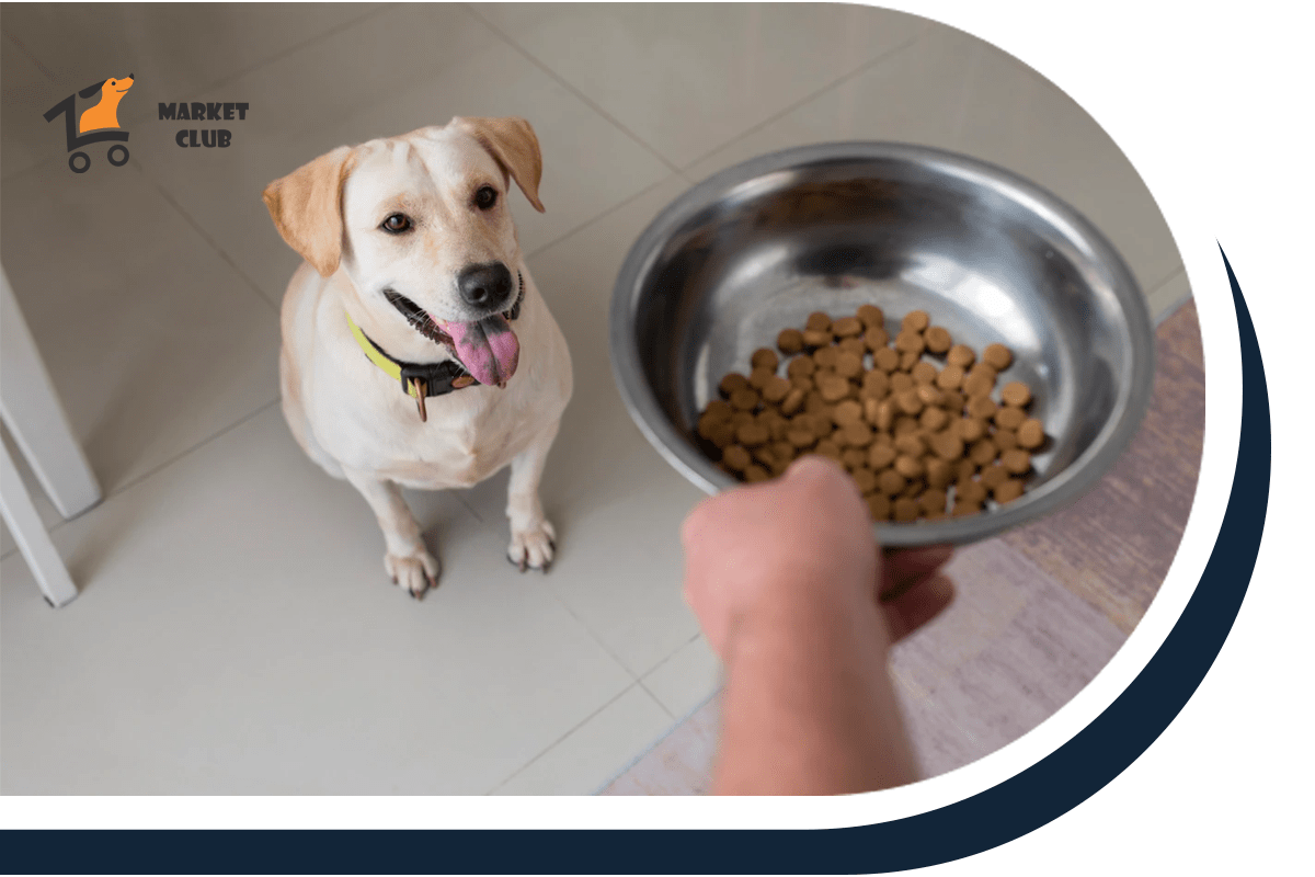 купити сухий корм для собак зоомаркет