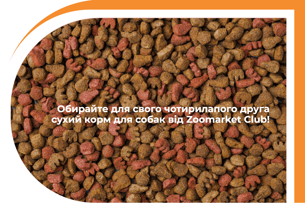 купити корм для собак зоомаркет